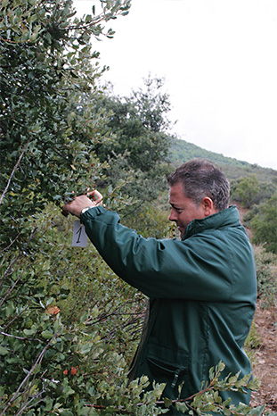 enrique sanz